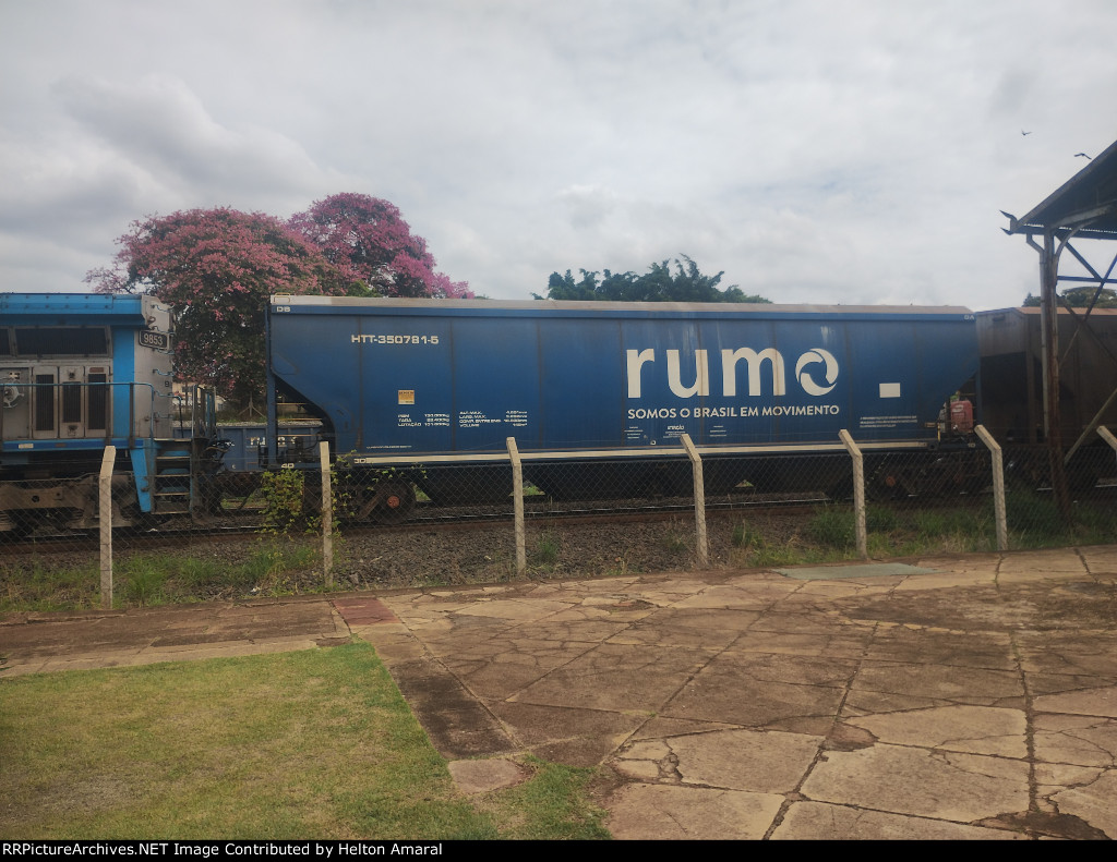 RUMO HTT-350781-5